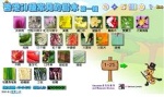 香港50種常見的樹木